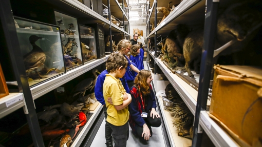 Children and an adult explore narrow storage aisles filled with preserved animals and specimens in a museum collection area. Shelves on both sides display taxidermy animals, birds in glass cases, and other natural history item